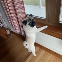 processed/41c70dcd-98a8-4962-9ec7-9160f60a6a86/facility/14a49a5d-d4e8-494e-905f-8b1b8f5efba7