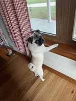 processed/41c70dcd-98a8-4962-9ec7-9160f60a6a86/facility/14a49a5d-d4e8-494e-905f-8b1b8f5efba7