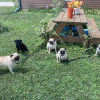 processed/41c70dcd-98a8-4962-9ec7-9160f60a6a86/facility/27141c16-7d8a-4918-a00a-db21dd822659