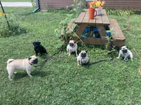 processed/41c70dcd-98a8-4962-9ec7-9160f60a6a86/facility/27141c16-7d8a-4918-a00a-db21dd822659