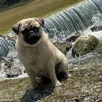 processed/41c70dcd-98a8-4962-9ec7-9160f60a6a86/facility/4c149a23-e186-4425-8cf6-7462be0a0e09