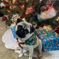 processed/41c70dcd-98a8-4962-9ec7-9160f60a6a86/facility/5ec4eff6-83fa-4f76-9b74-e704cefb7447