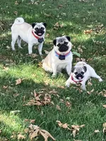 processed/41c70dcd-98a8-4962-9ec7-9160f60a6a86/facility/e2c080eb-d85e-407d-b051-9bff0735a230