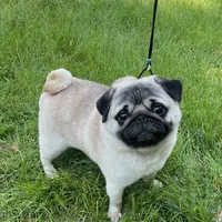 processed/41c70dcd-98a8-4962-9ec7-9160f60a6a86/facility/e745ed6b-6fc3-4c8f-bc5c-6e32c087572c