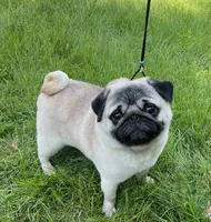 processed/41c70dcd-98a8-4962-9ec7-9160f60a6a86/facility/e745ed6b-6fc3-4c8f-bc5c-6e32c087572c