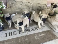 processed/41c70dcd-98a8-4962-9ec7-9160f60a6a86/facility/eb001ad9-a6d9-4c1e-99e0-1de5956da508