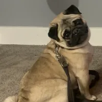 processed/41c70dcd-98a8-4962-9ec7-9160f60a6a86/facility/f1c8da4d-c3cd-495d-83e3-628d8230f4d1