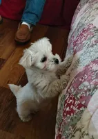 processed/41d53f8a-cd5d-4d43-81f0-e053c1f21bd4/listing/26f206e7-0d1f-48fb-994c-ad9d28bb2ad5/a32ff5a6-b994-4f55-aeef-3e459499651e