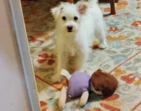 processed/41d53f8a-cd5d-4d43-81f0-e053c1f21bd4/listing/e2aa92f3-72bc-44a3-8abc-c1c3c54db88d/72e51474-25a5-4a24-93a1-9cb2f0526380