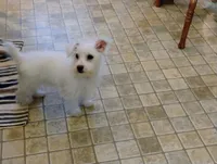 processed/41d53f8a-cd5d-4d43-81f0-e053c1f21bd4/listing/e2aa92f3-72bc-44a3-8abc-c1c3c54db88d/7a5aa5bf-25d7-48db-b28f-e225b1411373