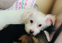 processed/41d53f8a-cd5d-4d43-81f0-e053c1f21bd4/listing/e2aa92f3-72bc-44a3-8abc-c1c3c54db88d/e085b744-25af-4119-a756-e8d42a6d5aab