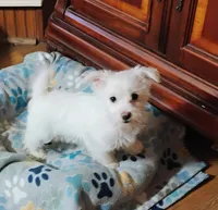 processed/41d53f8a-cd5d-4d43-81f0-e053c1f21bd4/listing/e2aa92f3-72bc-44a3-8abc-c1c3c54db88d/fe382f27-c4d2-4407-a913-0491561409e7