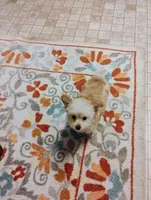 processed/41d53f8a-cd5d-4d43-81f0-e053c1f21bd4/listing/f2e601b8-ecce-495c-ab9b-5dc66cbdc262/31f75e25-005a-463a-a974-da1542dbed82