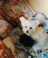 processed/41d53f8a-cd5d-4d43-81f0-e053c1f21bd4/listing/f2e601b8-ecce-495c-ab9b-5dc66cbdc262/3a2f11c7-ee7a-47bc-858c-6213454b2574