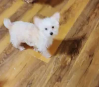 processed/41d53f8a-cd5d-4d43-81f0-e053c1f21bd4/listing/f2e601b8-ecce-495c-ab9b-5dc66cbdc262/ffe224a6-8f84-435b-85cb-d935d24131d4