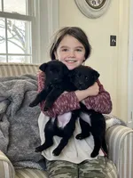 processed/41d94ad3-d72e-48ee-860f-65e2b1018c84/listing/b2c3f7e3-d700-438e-8f0e-6f61b759f410/f205f9e9-9316-4ff2-8fbd-94ce9470d71c