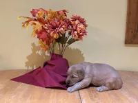 Miss Light Blue, a female Golden Retriever for sale in Geneseo, NY – 4 of 9