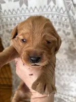 processed/41de1d80-84ca-49c3-a286-f6358936c783/listing/6baba5a1-22e0-4869-959b-ecfd8292902b/89601b5f-d16b-404b-b98e-c005b3feff30