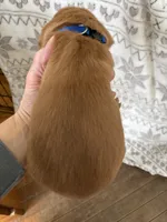 processed/41de1d80-84ca-49c3-a286-f6358936c783/listing/6baba5a1-22e0-4869-959b-ecfd8292902b/d57805e9-e127-4ab4-9d25-2739f953f33a