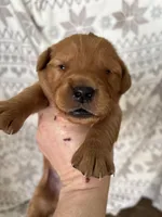 processed/41de1d80-84ca-49c3-a286-f6358936c783/listing/ded35ed5-1fca-4c18-ac37-a3396017e15d/aff6f748-c5dd-4863-8ca8-5f076eb262bd