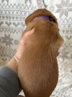 processed/41de1d80-84ca-49c3-a286-f6358936c783/listing/ded35ed5-1fca-4c18-ac37-a3396017e15d/e1c0367c-ece9-43bd-a4d1-ae8225785f95