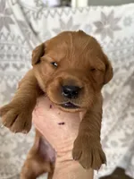 processed/41de1d80-84ca-49c3-a286-f6358936c783/listing/ded35ed5-1fca-4c18-ac37-a3396017e15d/f9f99d42-9d78-4350-b79e-5d21979d6182