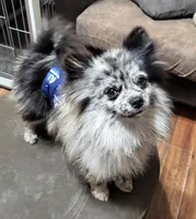 processed/41e28088-c3c4-4af2-9557-f271db3c398f/facility/24e52f70-e632-40db-aa43-8778f3c7fbf8