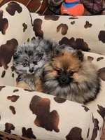 processed/41e28088-c3c4-4af2-9557-f271db3c398f/facility/81422435-b71b-4684-b01a-efe52c30dd06