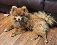 processed/41e28088-c3c4-4af2-9557-f271db3c398f/facility/9d685a9b-e42e-4563-a055-177bd16348ad