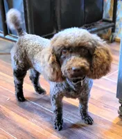 processed/41e28088-c3c4-4af2-9557-f271db3c398f/facility/b131245d-9012-4ada-81a3-2fb51b8ce99c