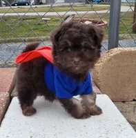 processed/41e28088-c3c4-4af2-9557-f271db3c398f/facility/d8a6e53f-189c-4beb-b2b1-6f347517531d