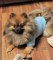 processed/41e28088-c3c4-4af2-9557-f271db3c398f/facility/e1d2501f-09c3-4389-a405-35979bea2007