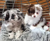 processed/41e28088-c3c4-4af2-9557-f271db3c398f/facility/ffc91d2a-157e-4de6-9ef4-220ec0ade3f8