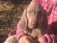 processed/41fe44d7-67cf-4120-b05c-b36d649f79d5/listing/080e5ae8-c785-4b06-a980-7d1bb6cac45d/29f6b71e-686f-4c30-913b-3b2f3cc06b69