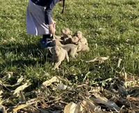 processed/41fe44d7-67cf-4120-b05c-b36d649f79d5/listing/080e5ae8-c785-4b06-a980-7d1bb6cac45d/56c307d8-d286-420b-b595-dbc18ef49e9c