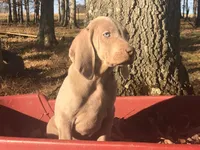 processed/41fe44d7-67cf-4120-b05c-b36d649f79d5/listing/080e5ae8-c785-4b06-a980-7d1bb6cac45d/5f9b59a8-5a16-4e19-964d-b868f3e461ca