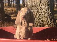 processed/41fe44d7-67cf-4120-b05c-b36d649f79d5/listing/080e5ae8-c785-4b06-a980-7d1bb6cac45d/66790d6d-e68c-4aa1-8d5d-a52208912adb