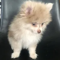 processed/4217e4ea-f1ab-4af8-a867-e812ddec0486/facility/26b3e16f-f864-4e26-ae66-a206039a7aab