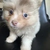 processed/4217e4ea-f1ab-4af8-a867-e812ddec0486/facility/37e0e795-9982-4e94-b2e6-ecea395465b3