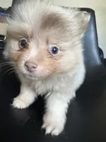 processed/4217e4ea-f1ab-4af8-a867-e812ddec0486/facility/37e0e795-9982-4e94-b2e6-ecea395465b3