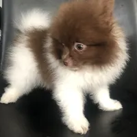 processed/4217e4ea-f1ab-4af8-a867-e812ddec0486/facility/3b5ba89e-666f-497c-af8a-c352e154f0ba