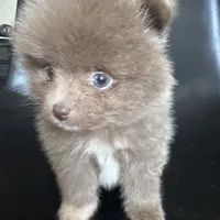 processed/4217e4ea-f1ab-4af8-a867-e812ddec0486/facility/76e4ec9d-ede1-4316-8cb6-ccd39ca9fa4a