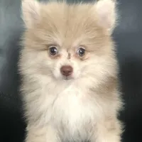 processed/4217e4ea-f1ab-4af8-a867-e812ddec0486/facility/960d9e40-7d72-48f4-b340-9ac682cb9d46