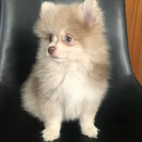 processed/4217e4ea-f1ab-4af8-a867-e812ddec0486/facility/9f907349-24fb-4a31-83f1-949c75c5eabf