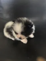 processed/4217e4ea-f1ab-4af8-a867-e812ddec0486/facility/a139285f-4ba2-4013-8d1c-daaed8d0e772