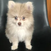 processed/4217e4ea-f1ab-4af8-a867-e812ddec0486/facility/bc10e5ae-7c76-4ccb-8a43-8c59a44d7686