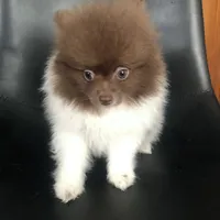 processed/4217e4ea-f1ab-4af8-a867-e812ddec0486/facility/d4e18794-405f-40c3-8f13-4fde290e7904