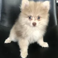 processed/4217e4ea-f1ab-4af8-a867-e812ddec0486/facility/e8de378c-9c41-4d62-a671-4817b02b21d3