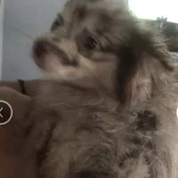 processed/4217e4ea-f1ab-4af8-a867-e812ddec0486/listing/124ddd5d-b507-473d-bba1-8117ed579cad/c665a005-09e8-4ec9-ad10-dff1aca5e655