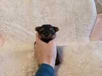 processed/421b2d94-d723-4899-9895-1fb5f29c47c1/listing/0621fdfc-2ae7-4407-895b-89b8fb0a8ac0/5203dc41-093e-4589-aff1-ba2f46497ff6